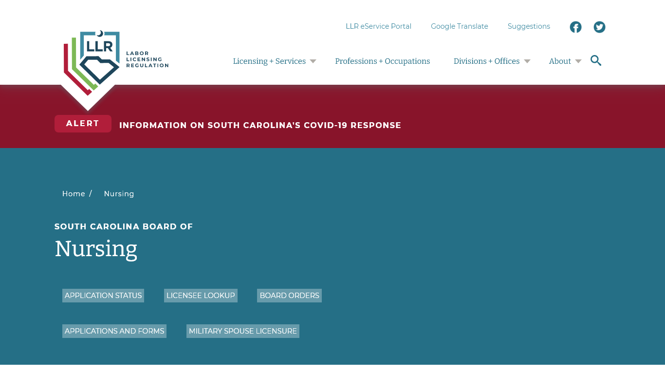 Licensing requirements for the South Carolina Board of Nursing.