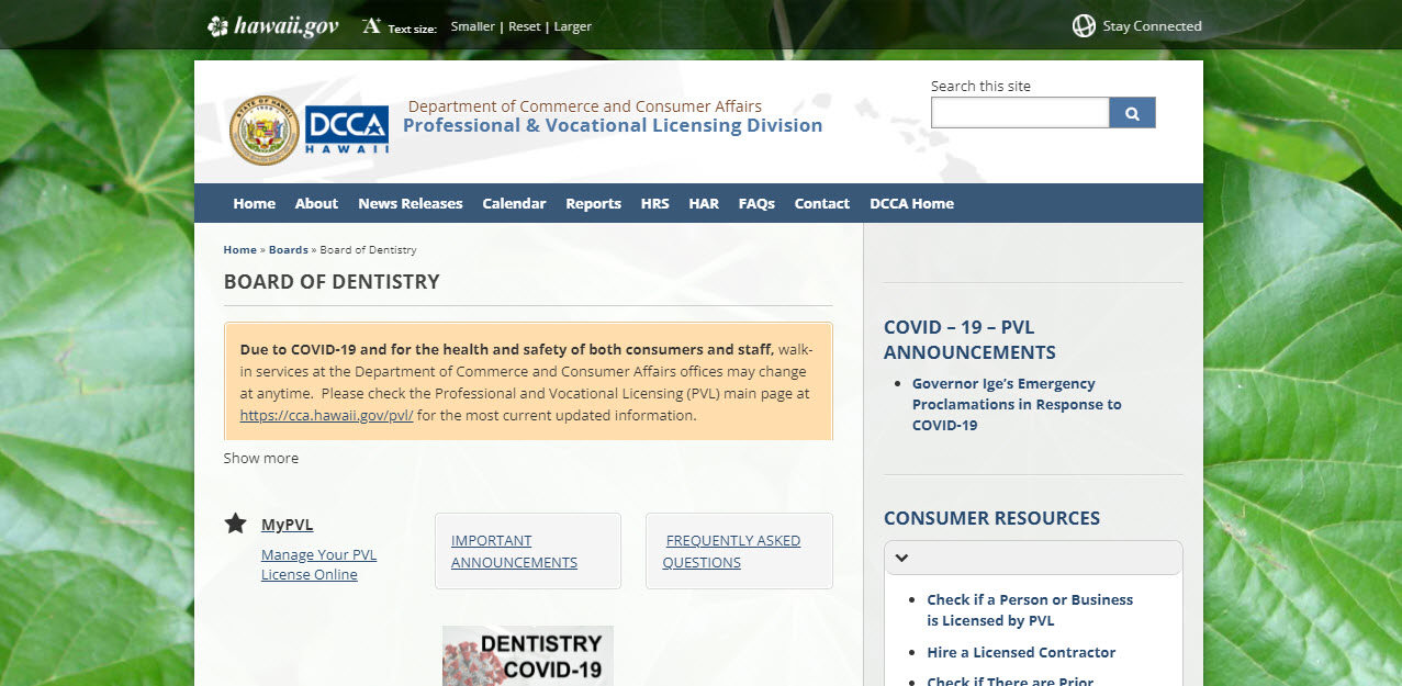 Hawaii Board of Dentistry Dental website screenshot.